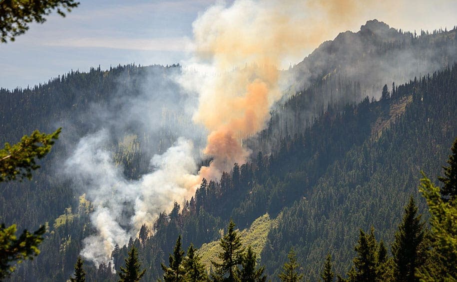 Detecting forest fires through Air Quality Monitoring